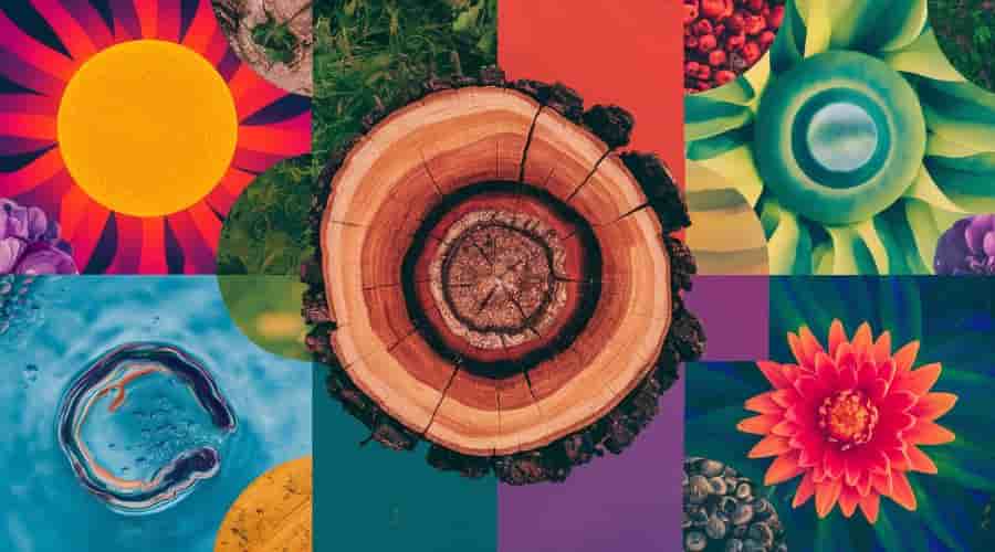 A striking image highlighting the prevalence of circular shapes and patterns in nature, featuring the sun, a tree trunk cross-section, a water droplet, and a flower, all exhibiting the perfection and beauty of the circle.
