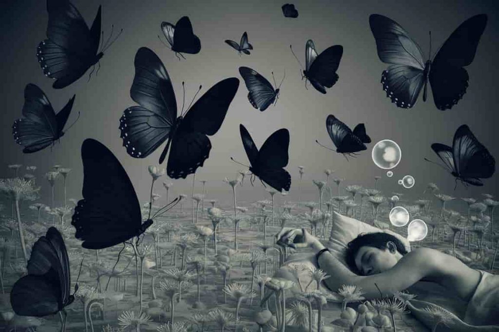 A dreamscape featuring multiple black butterflies flying, landing, and emerging from cocoons, with a silhouette of a sleeping person and thought bubbles containing butterfly imagery, illustrating dream interpretations.