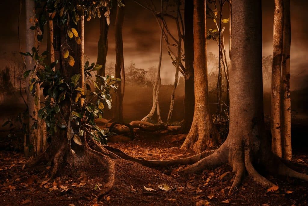 Serene forest scene with various shades of brown in trees, soil, and leaves, with warm brown light