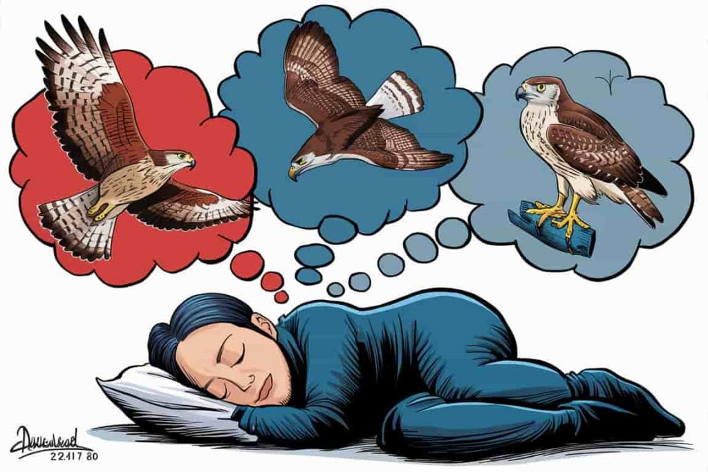 Cartoon of a person dreaming about hawks with symbolic interpretations