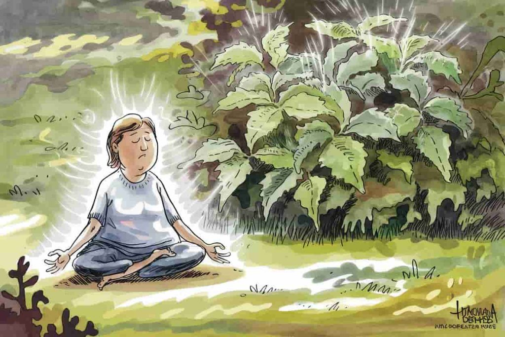 Person meditating near poison ivy, surrounded by a protective aura, symbolizing spiritual growth and lessons