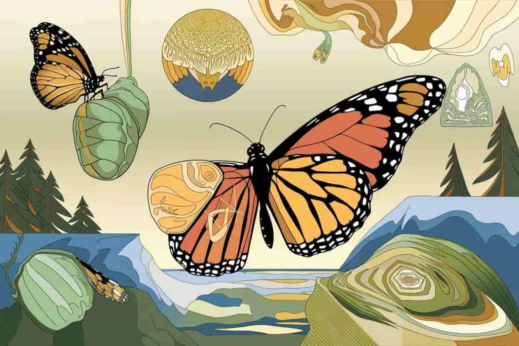 Collage of monarch butterfly imagery representing spiritual symbols and transformation