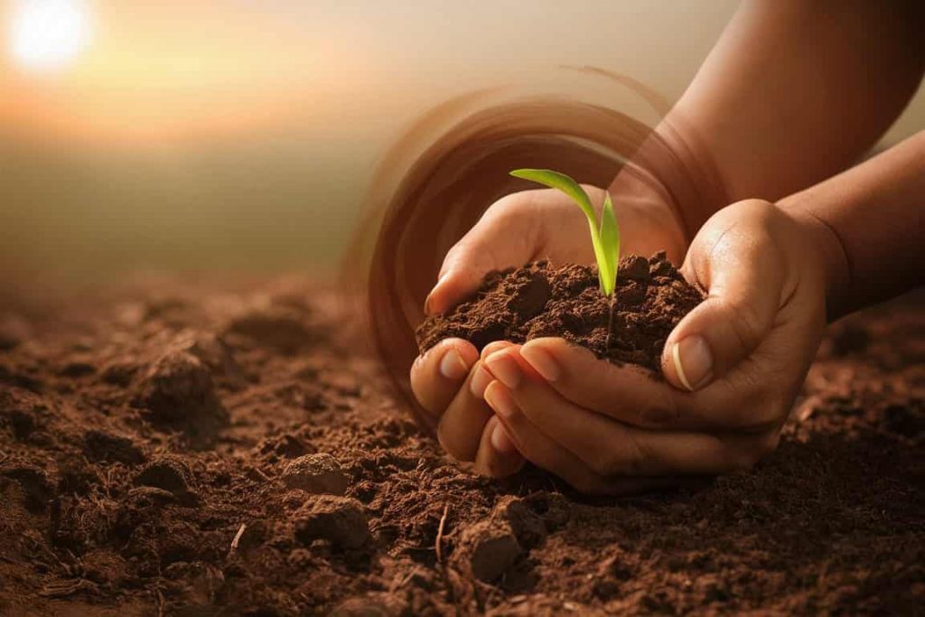 Hands cupping brown soil with a green sprout, surrounded by a soft brown aura