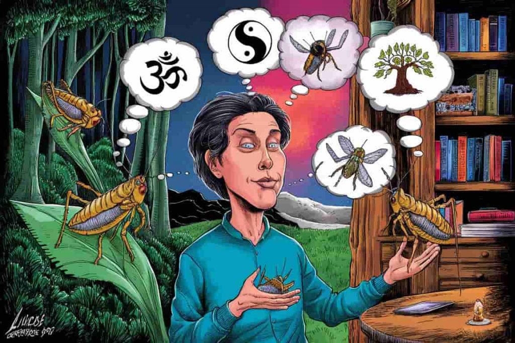 Cartoon of a person experiencing different katydid encounters with spiritual symbolism