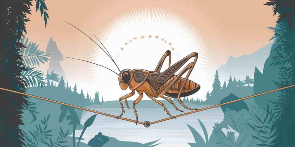Cricket balancing on a tightrope between an earthly realm of lush nature and a spiritual realm of starry, ethereal space, symbolizing the balance between groundedness and spiritual growth.