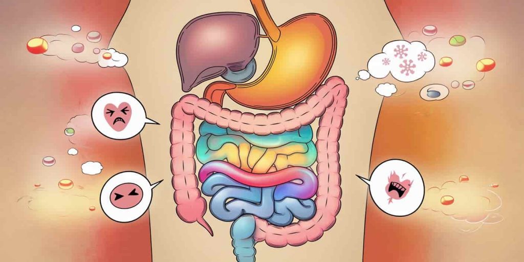 Stylized digestive system with organs emitting colored auras and thought bubbles containing emotional symbols around the stomach area