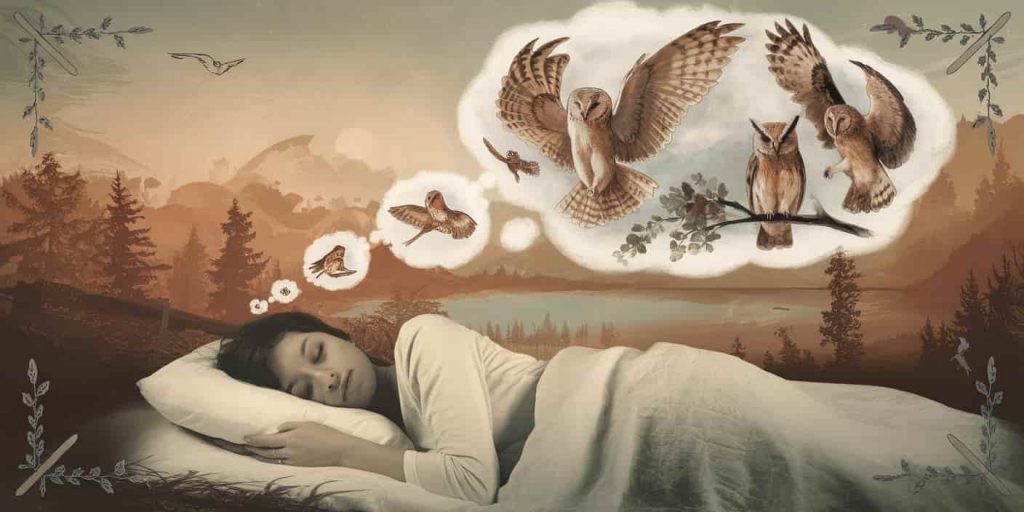 Person sleeping with a dream bubble showing multiple owls and subtle biblical symbols, representing dream interpretation