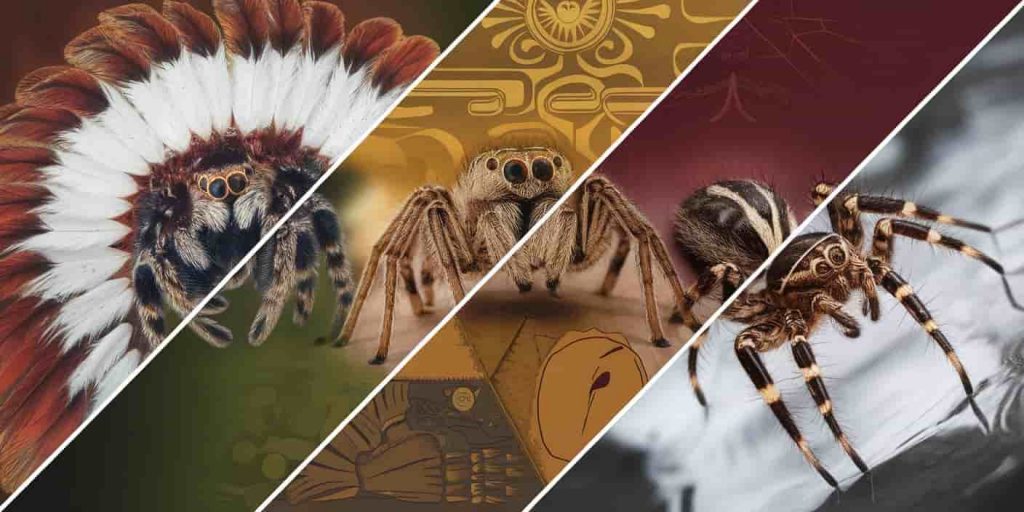 Collage of four cultural perspectives on jumping spider spirituality: Native American, Eastern, African, and modern interpretations with distinct symbolism