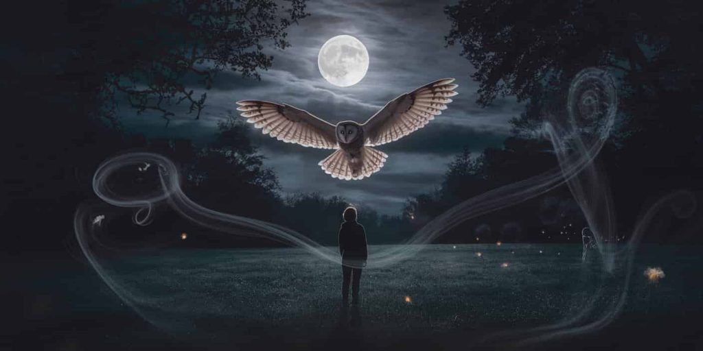 A person stands in a moonlit forest clearing, gazing up at a large, detailed owl in flight. Misty wisps form spiritual symbols around them, while fireflies and a full moon illuminate the nocturnal scene.