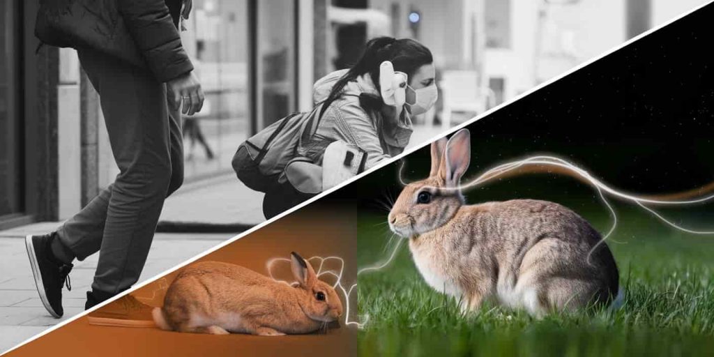 Split-screen image comparing everyday rabbit encounter with its spiritual interpretation, showing visible energy connection between person and rabbit