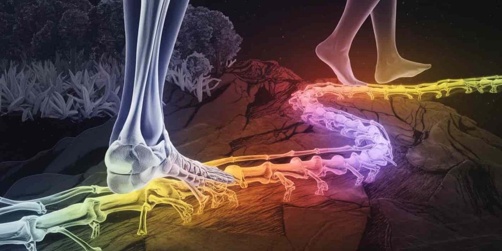 Human silhouette walking on a winding path transforming into an ankle bone, with seven colored sections representing spiritual meanings