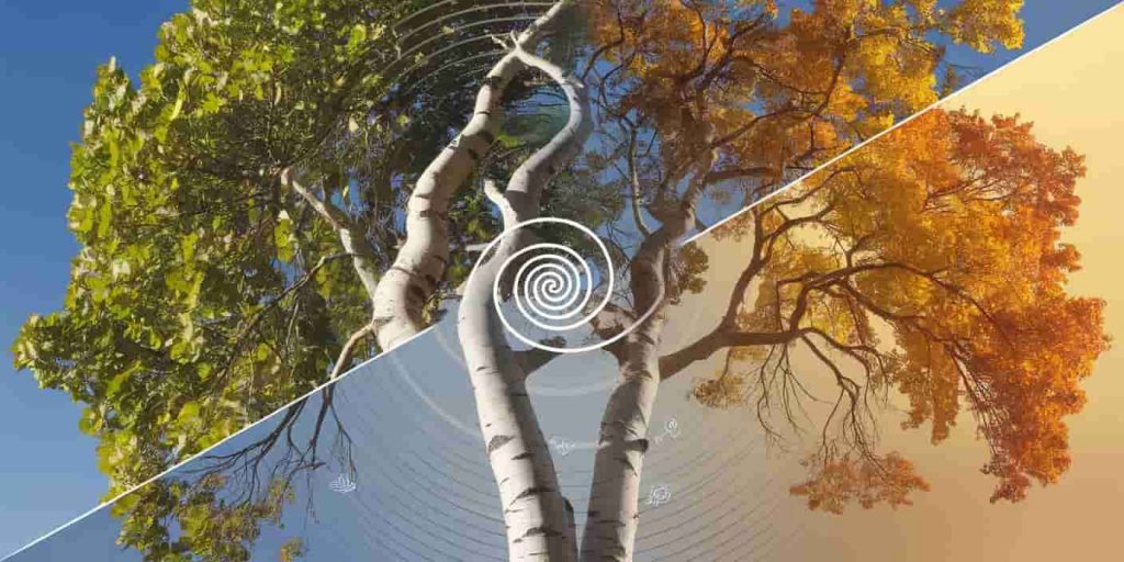 A split-season image of an aspen tree with a spiral overlay and symbols, representing the spiritual lessons and transformative nature of aspens.