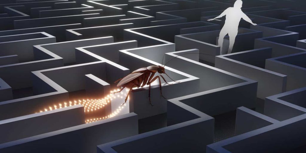 cockroach-adaptability-lesson.jpg