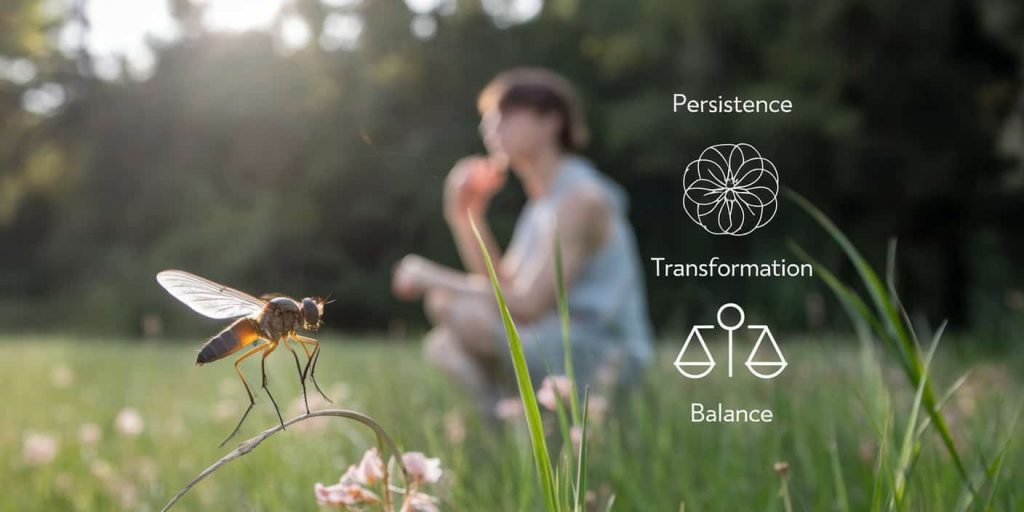 Horse fly in foreground with sunlit wings, person in background in contemplative pose surrounded by symbols of persistence, transformation, and balance, illustrating spiritual meanings.