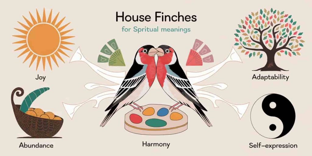 A detailed collage illustrating the spiritual meanings of house finches, featuring a central pair of finches surrounded by symbols representing joy, adaptability, abundance, harmony, and self-expression, all interconnected with glowing lines to show their spiritual relationships.