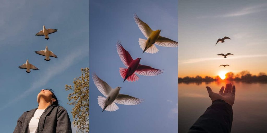 Triptych of a person observing three birds in flight, birds forming a circle, and a hand releasing birds, illustrating spiritual lessons from bird encounters