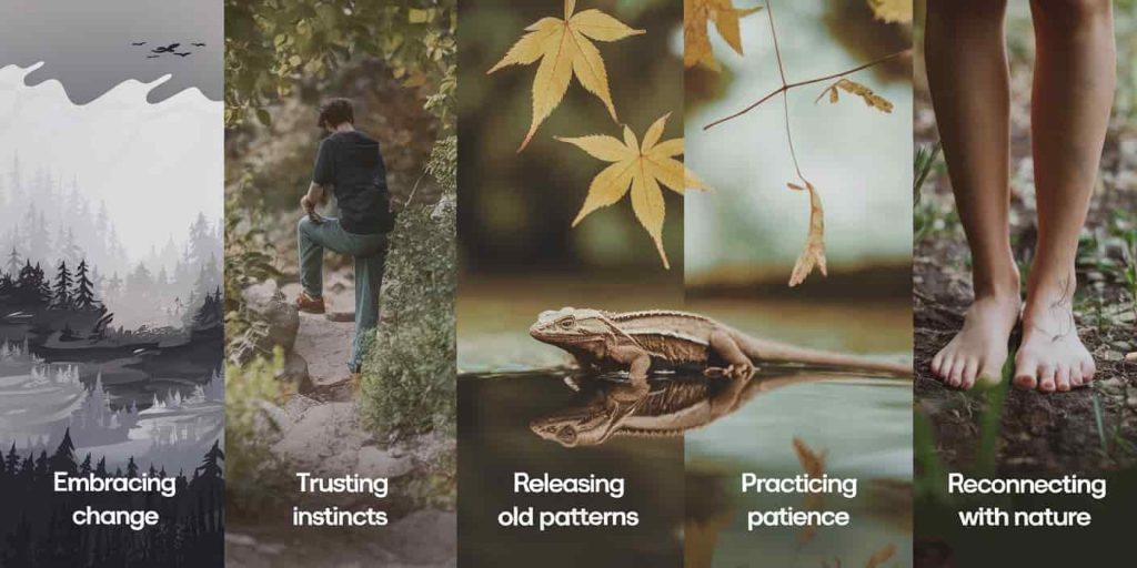 A tranquil nature scene divided into five sections, illustrating spiritual lessons from lizard encounters: change, instinct, release, patience, and nature connection.