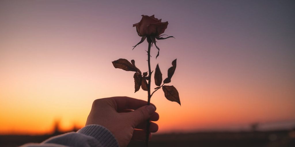 A hand holding a dead rose against a sunset sky, illustrating the messages and lessons derived from the symbolism of faded blooms.