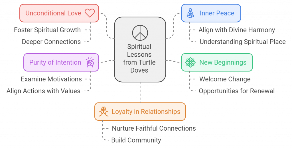 Visual aid of a summary of spritual messages and lessons of Turtle dove spiritual meaning