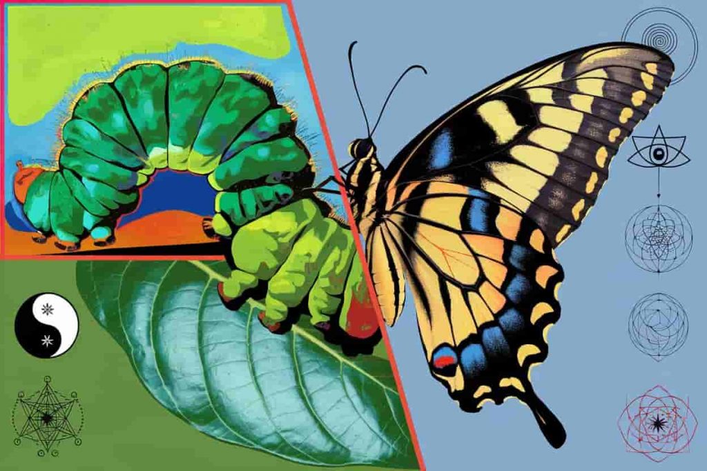 A split image illustrating the transformation from caterpillar to black and yellow butterfly, surrounded by spiritual symbols representing balance, change, and divine guidance.