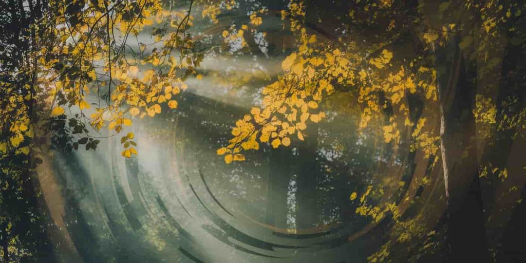 Mystical forest scene with golden yellow leaves falling in sunlight, overlaid with a subtle spiral pattern, representing the spiritual symbolism and transformative nature of yellow leaves.