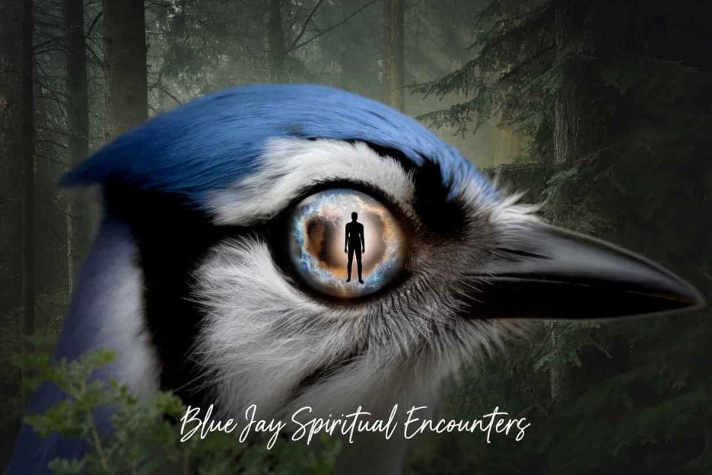 Close-up of a blue jay's eye reflecting a human silhouette, surrounded by a spiritual aura, representing the characteristics of meaningful encounters, titled "Blue Jay Spiritual Encounters".