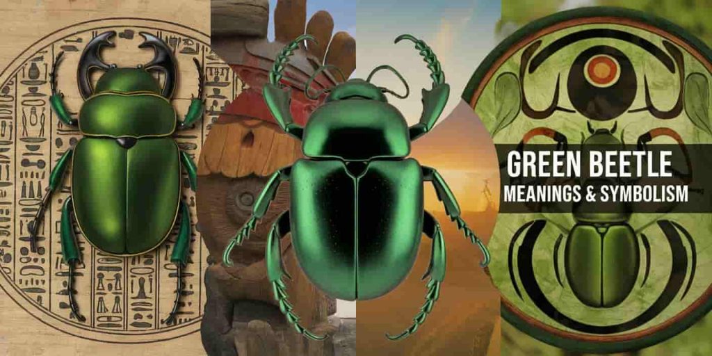 Collage of green beetles in different cultural contexts, including Egyptian scarab, Native American totem, and eco-spiritual symbols, illustrating diverse spiritual meanings.