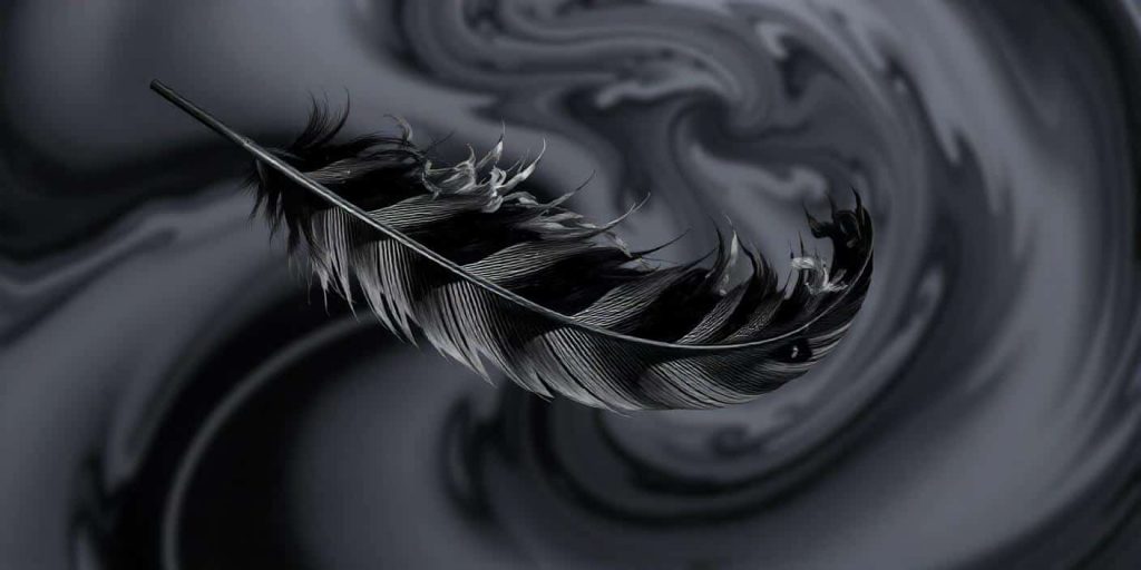 a black and grey feather with swirling black and grey energies above, illustrating the synergy of meanings in combined black and grey feathers.