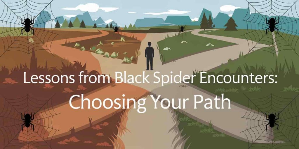 A person at a crossroads with multiple paths, each featuring a black spider weaving a web, and text "Lessons from Black Spider Encounters: Choosing Your Path" emphasizing life choices.
