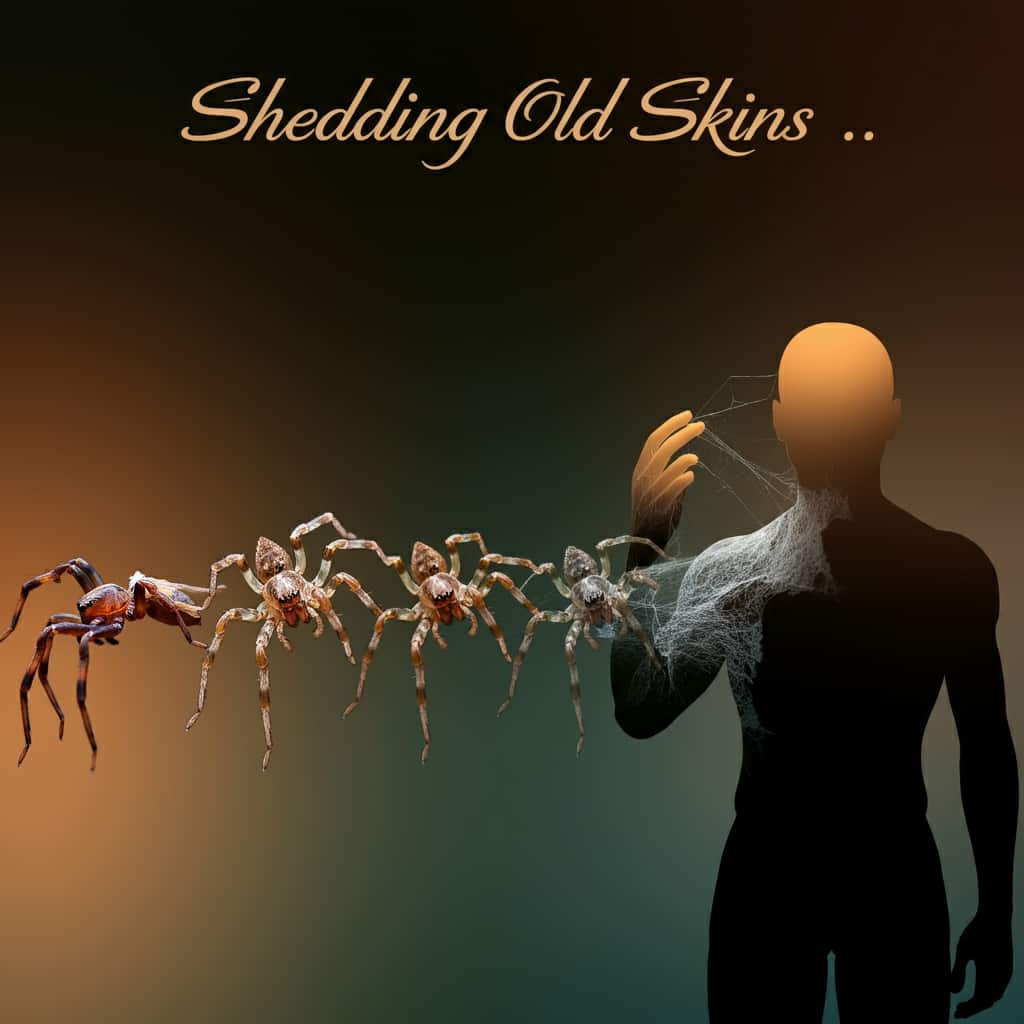A sequence showing a brown spider's molting process paralleled with a human silhouette shedding layers, illustrating the spider as an embodiment of transformation.