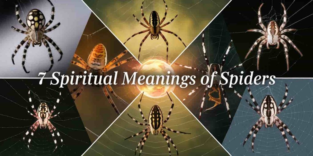 Seven diverse spider species arranged in a circle on unique web segments, surrounding a glowing spiritual orb. The text "7 Spiritual Meanings of Spiders" is overlaid in bold font.