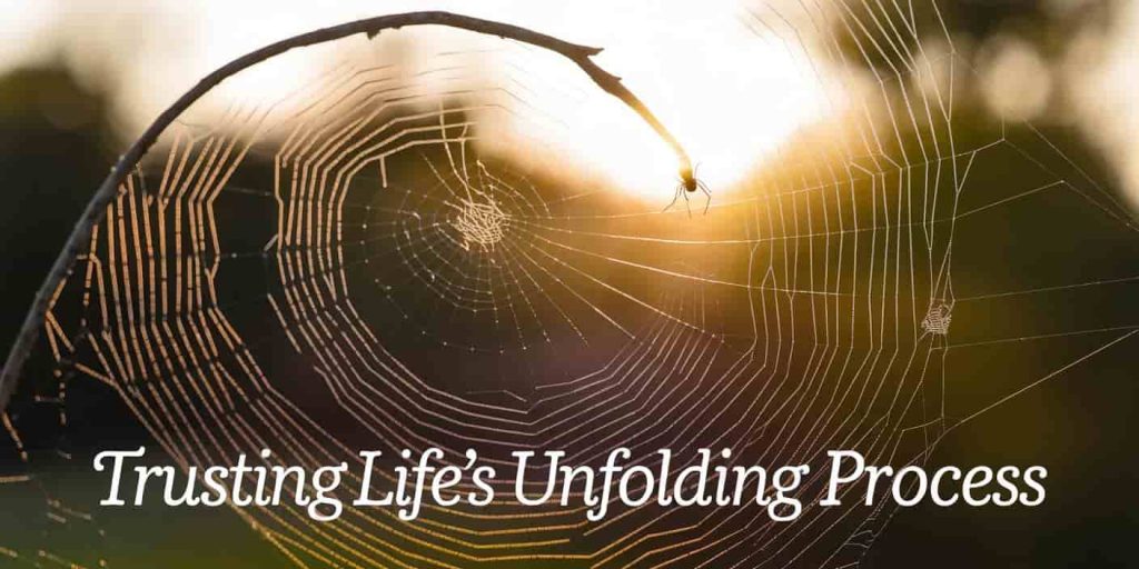 A partially completed golden spider web forming a spiral pattern against a sunrise background. A small spider continues weaving at the edge, with the text "Trusting Life's Unfolding Process" overlaid in a gentle font.