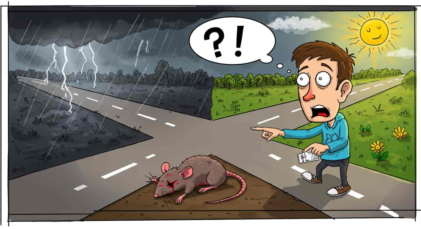 A cartoon-style image of a person at a crossroads, encountering a dead rat, symbolizing the interpretation of dead rats as omens and signs, with a question mark and exclamation point in a thought bubble.
