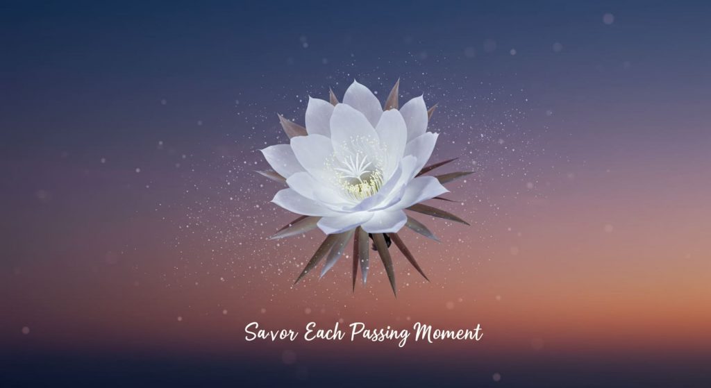 A 3D artwork of a single, luminous white night blooming cereus flower in full bloom against a fading dawn sky. The flower's petals glow softly, and tiny sparkling particles drift around it, highlighting its temporary nature. The edges of the petals show subtle signs of wilting. The image symbolizes the fleeting nature of life and beauty.